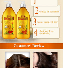 Ginger Root Nourishing Shampoo & Conditioner Set