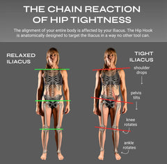 Full Body System